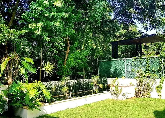 Toh, Riviera Maya